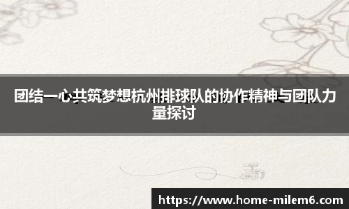 团结一心共筑梦想杭州排球队的协作精神与团队力量探讨