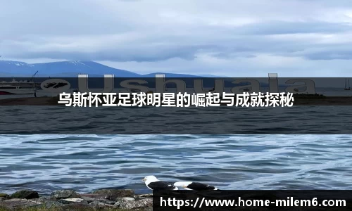 乌斯怀亚足球明星的崛起与成就探秘