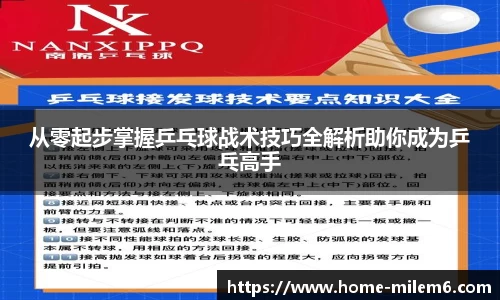 从零起步掌握乒乓球战术技巧全解析助你成为乒乓高手