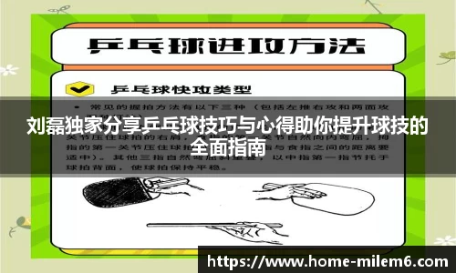 刘磊独家分享乒乓球技巧与心得助你提升球技的全面指南